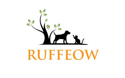 Pet Insurance